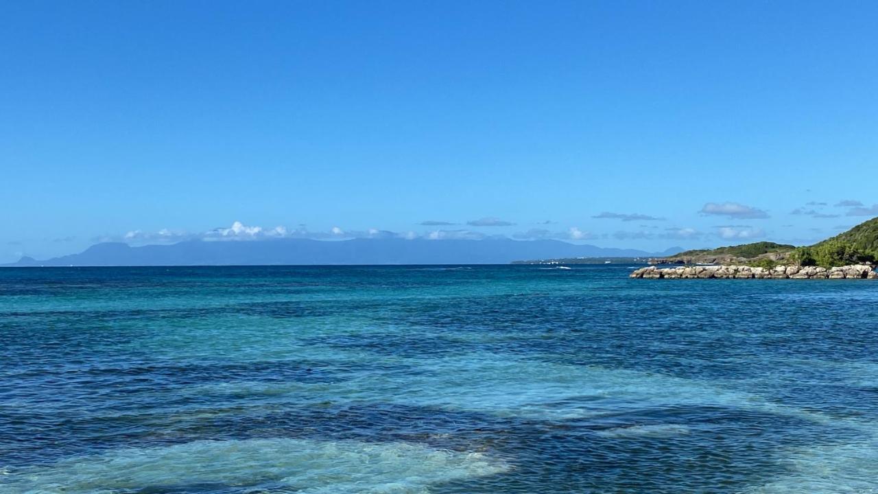 圣弗朗索瓦Le Kalinao, Anse Des Rochers Plage, Piscine Et Cocotiers公寓 外观 照片