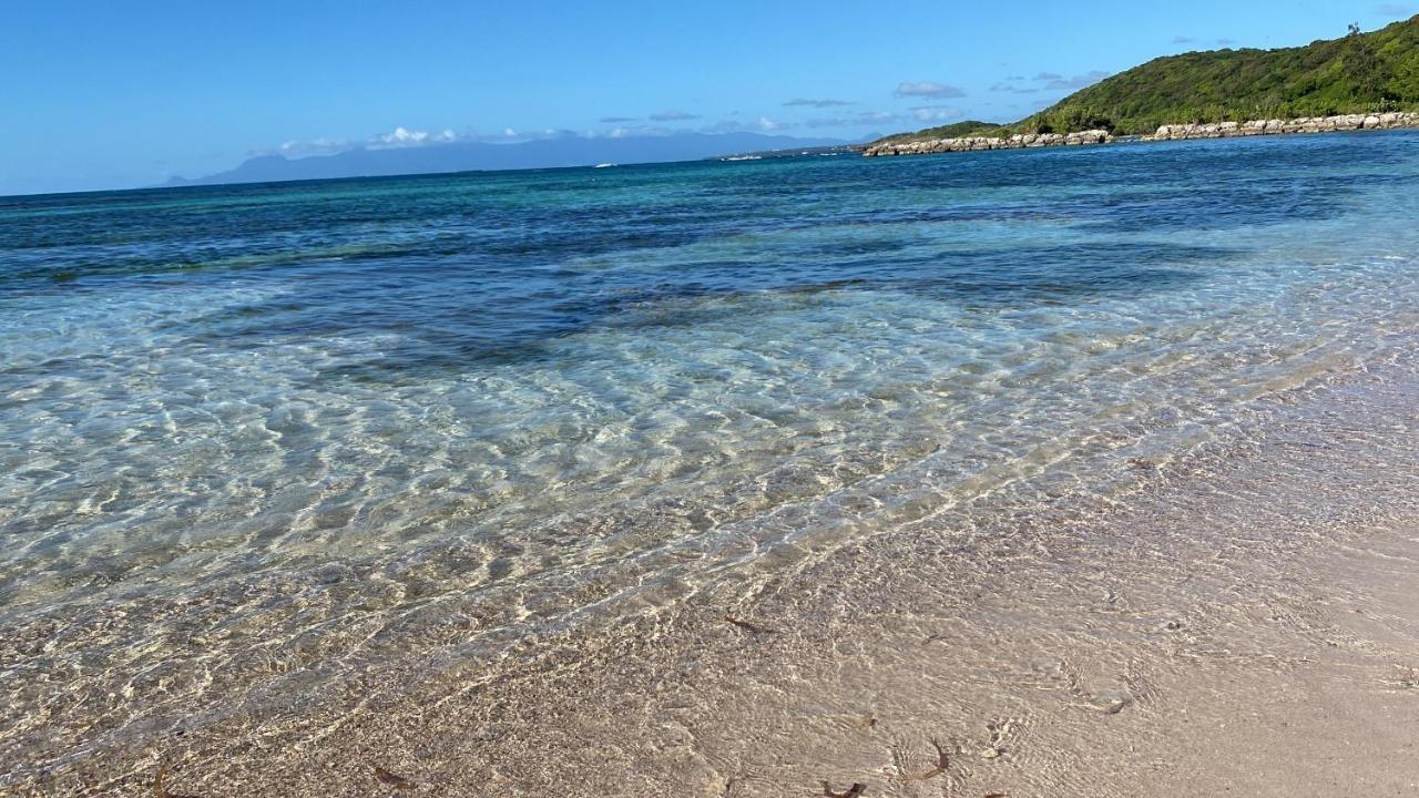 圣弗朗索瓦Le Kalinao, Anse Des Rochers Plage, Piscine Et Cocotiers公寓 外观 照片