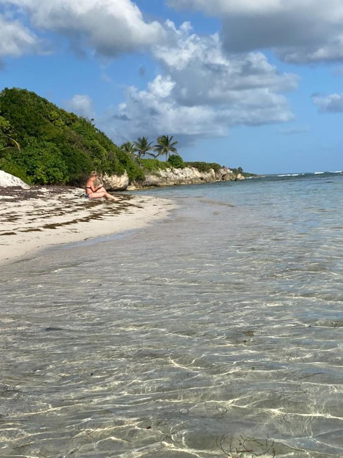 圣弗朗索瓦Le Kalinao, Anse Des Rochers Plage, Piscine Et Cocotiers公寓 外观 照片