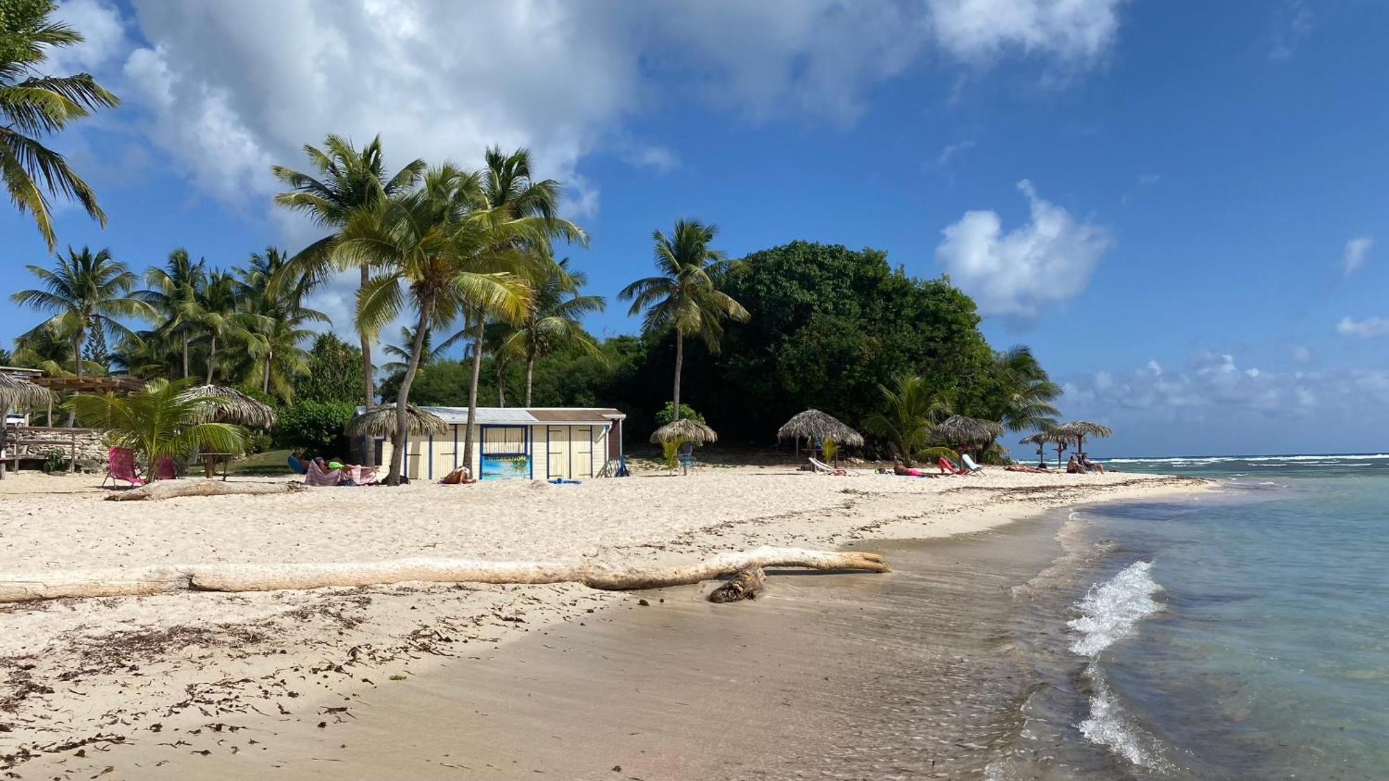 圣弗朗索瓦Le Kalinao, Anse Des Rochers Plage, Piscine Et Cocotiers公寓 外观 照片