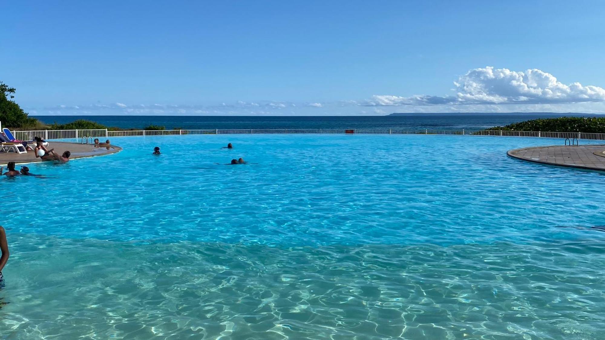 圣弗朗索瓦Le Kalinao, Anse Des Rochers Plage, Piscine Et Cocotiers公寓 外观 照片