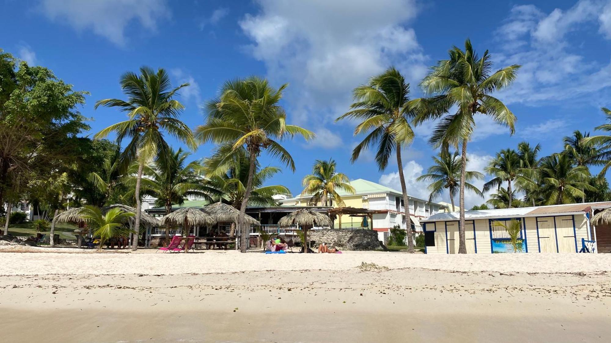 圣弗朗索瓦Le Kalinao, Anse Des Rochers Plage, Piscine Et Cocotiers公寓 外观 照片