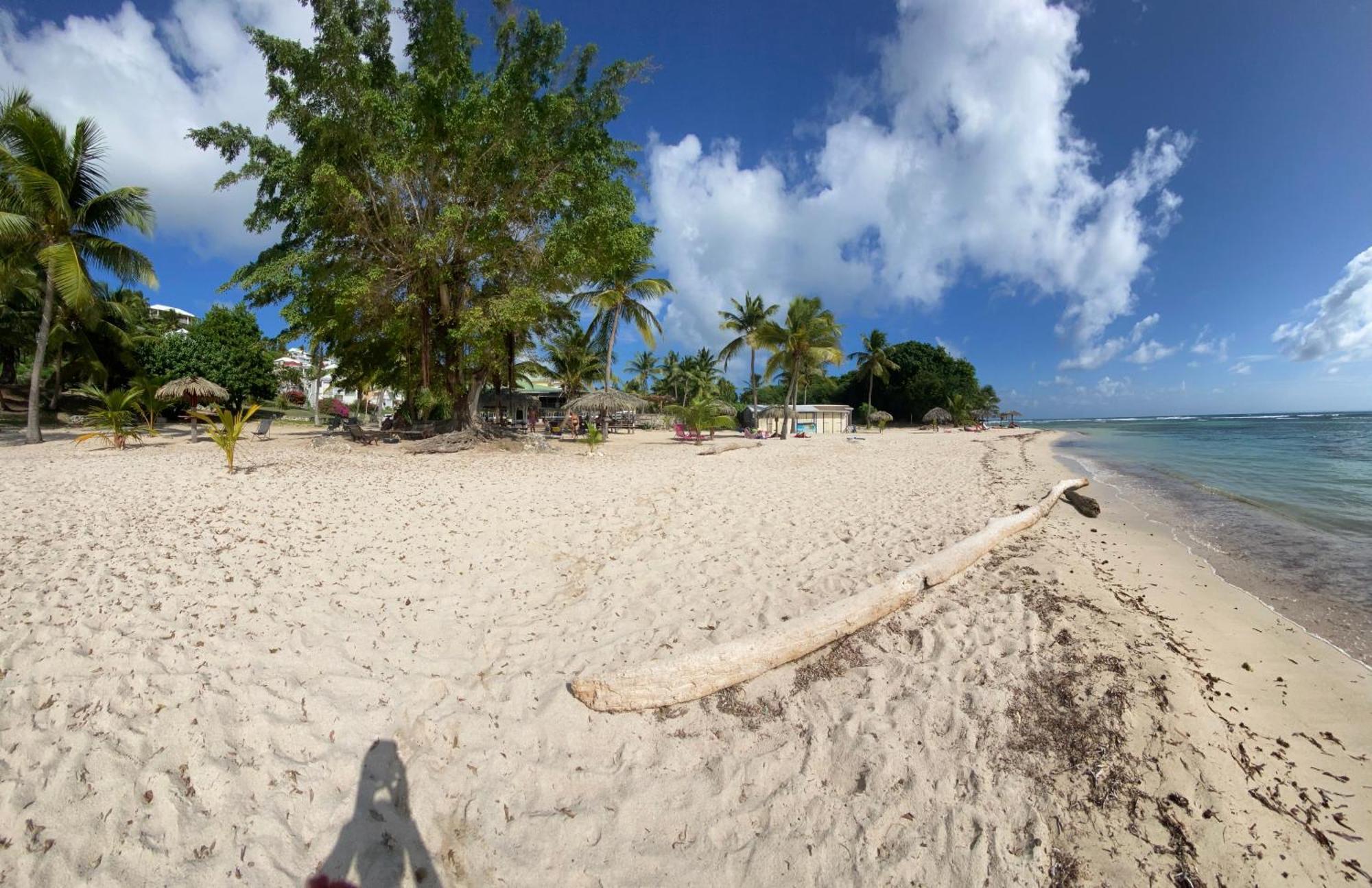 圣弗朗索瓦Le Kalinao, Anse Des Rochers Plage, Piscine Et Cocotiers公寓 外观 照片